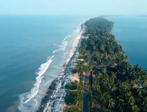 Aerial view of the marvellous Kappil Beach, where a narrow strip of land covered in palm trees stretches between two large bodies of water. Waves crash against the shore on the left, while calmer waters grace the right. A road lined by dense greenery runs along this serene landscape—life is indeed better at the beach.