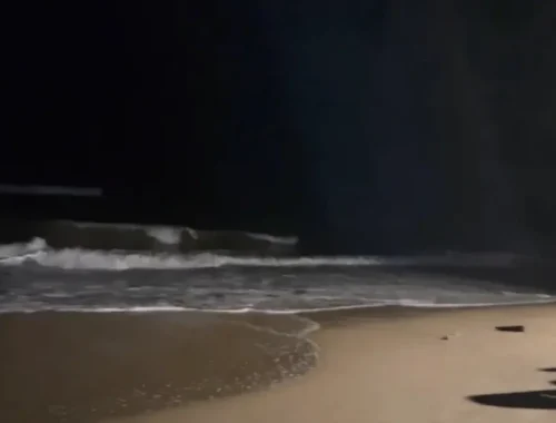 A person stands on Anjuna Beach at night, surrounded by the serene beauty of moonlit waves and a star-filled sky.